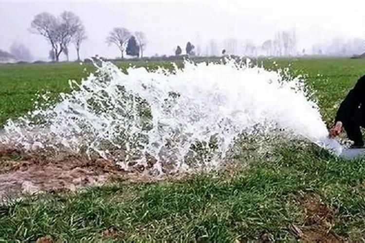 果树化学防霜冻方法