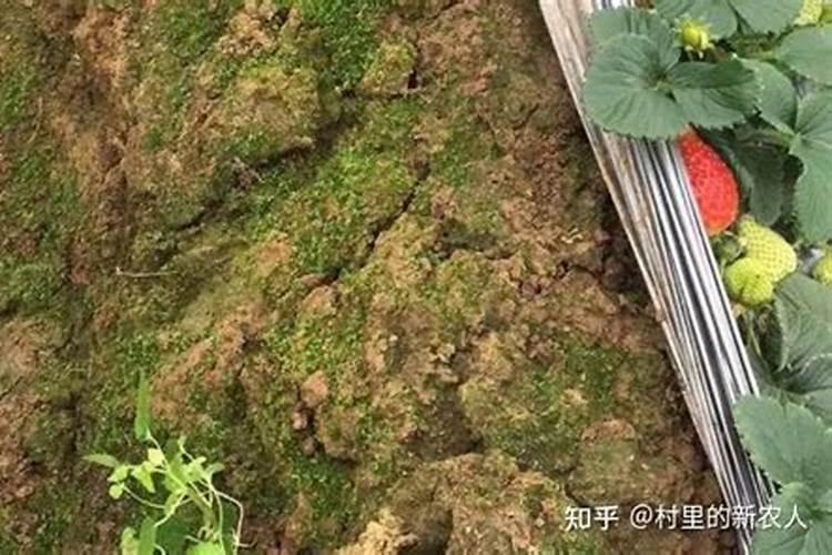 土壤退化类型及防治