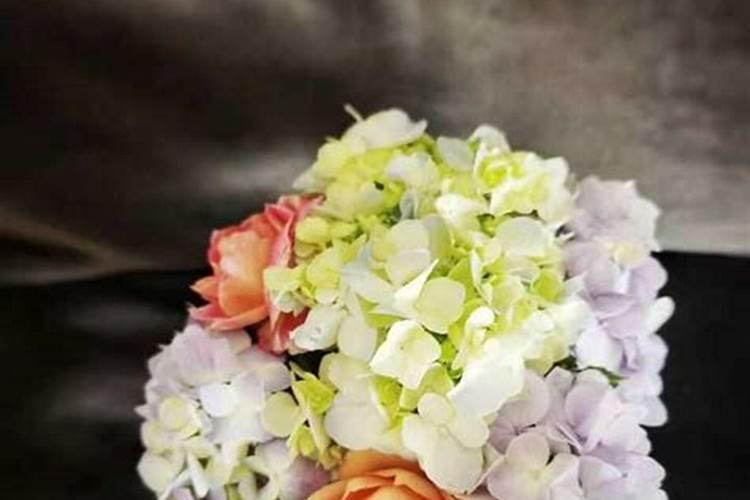 玫瑰浇什么肥料合适