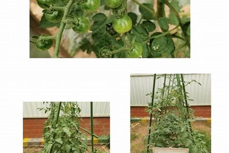 氮肥钾肥溶于水吗