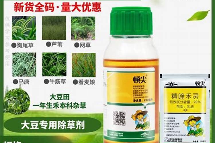 哪些肥料不属于有机肥料 有机肥料的特点