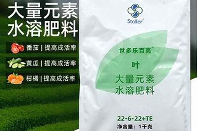 安顺山药种植技巧 山药怎么栽培好