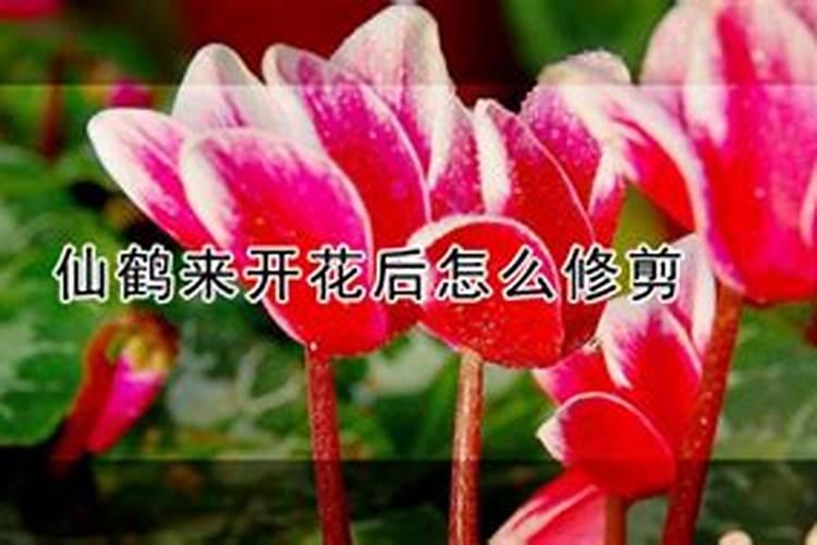 请专家老师告诉我一下苦瓜的种植和管理。谢谢