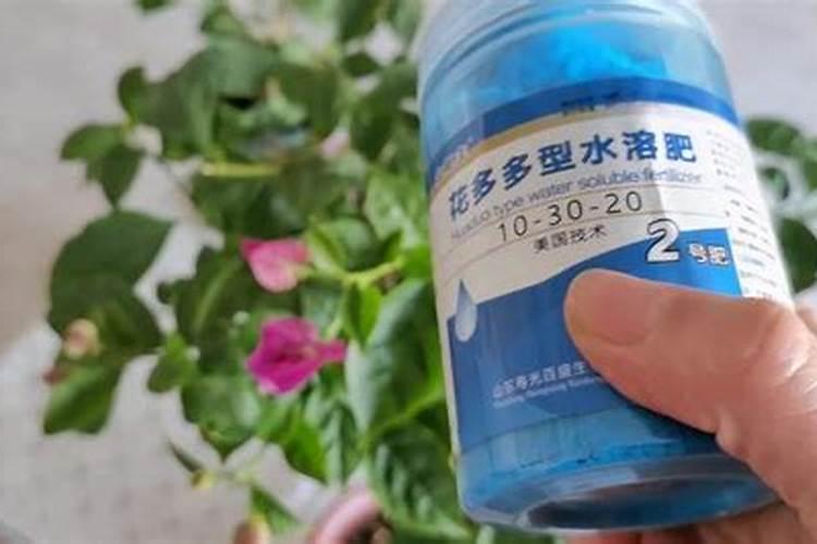 水溶肥和有机肥区别