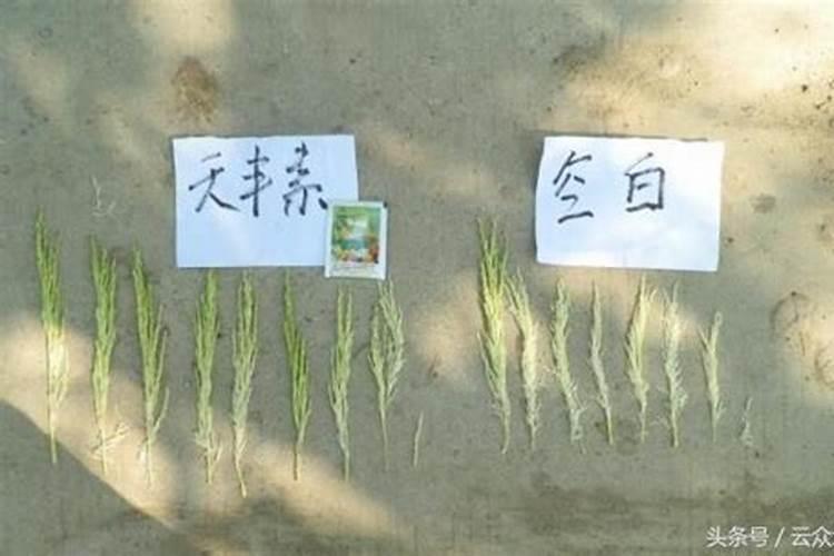 江苏申农肥业有限公司怎么样？