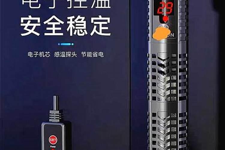 鱼缸里的蛋白虫该怎么清除？有哪些技巧？