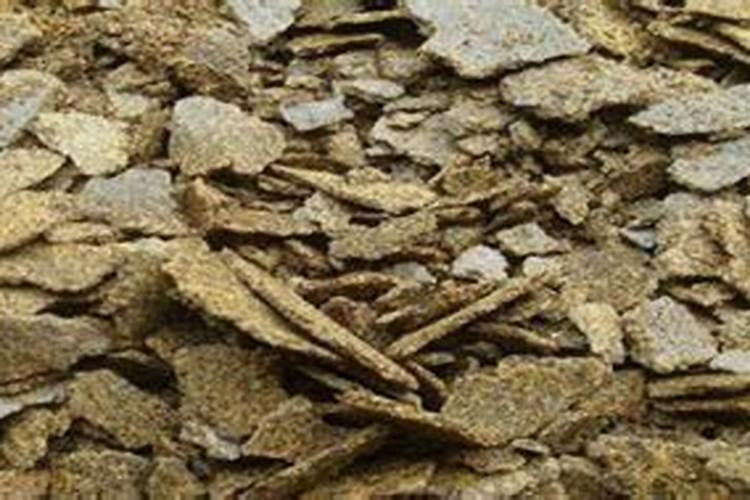 百香果施什么肥料最好