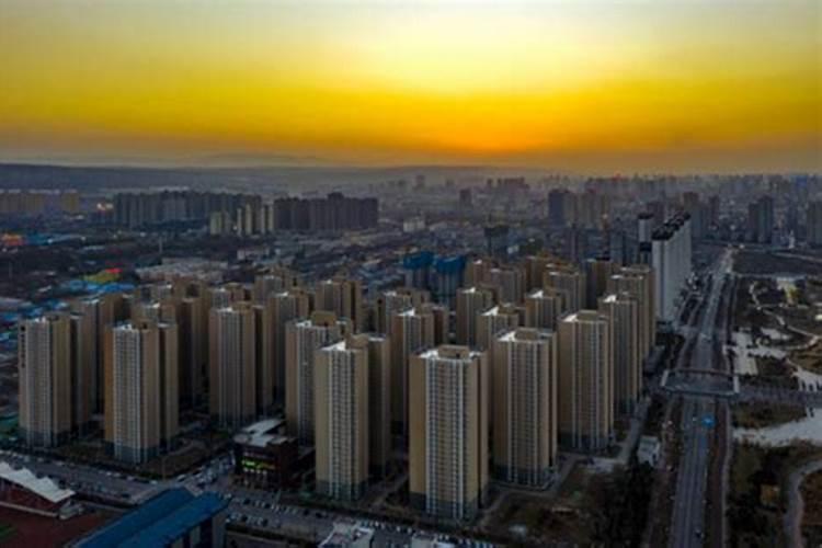 水溶肥品牌哪些好？