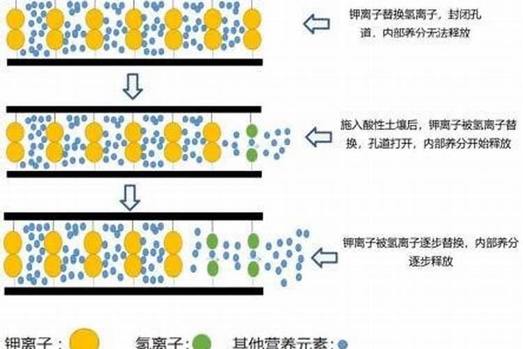 兰花肥料使用方法(兰花肥料使用方法图解)