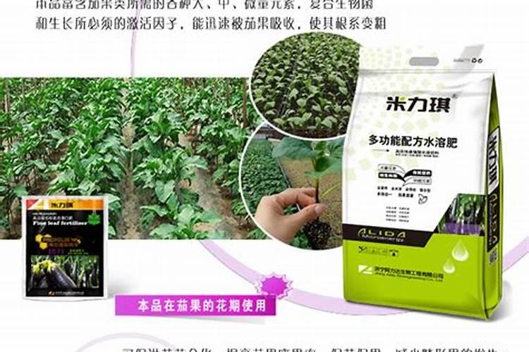大棚茄子在苗期施用什么微量元素肥料？？