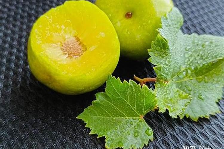 李子树什么时候施肥比较好