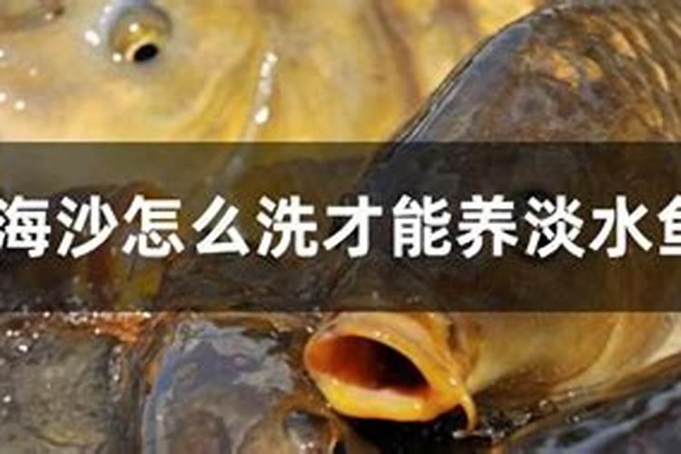 桃树要什么肥料