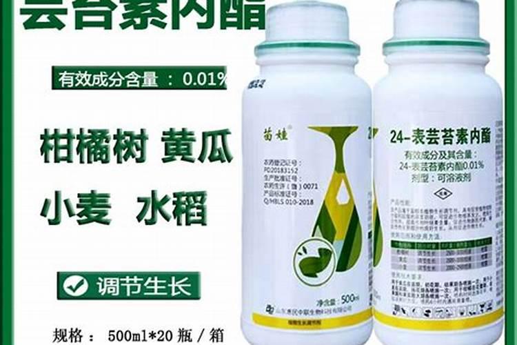 芸苔素内酯如何兑水