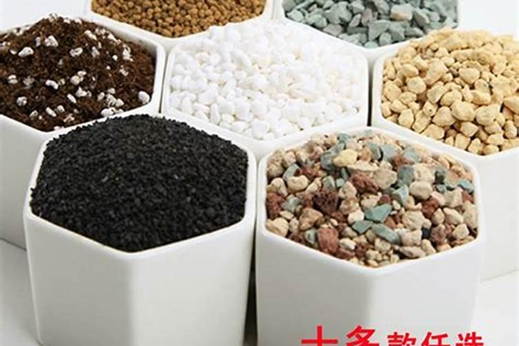 多肉植物怎么施肥,施什么肥