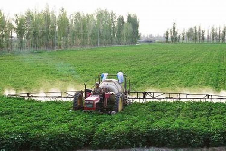 多效唑可以和叶面肥及杀菌剂一起喷吗？