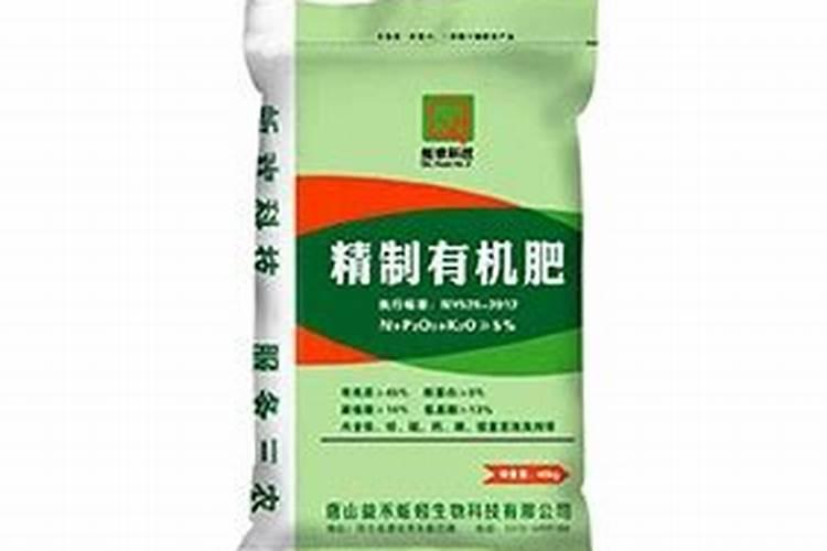 纪元102玉米种河北唐山哪里售？