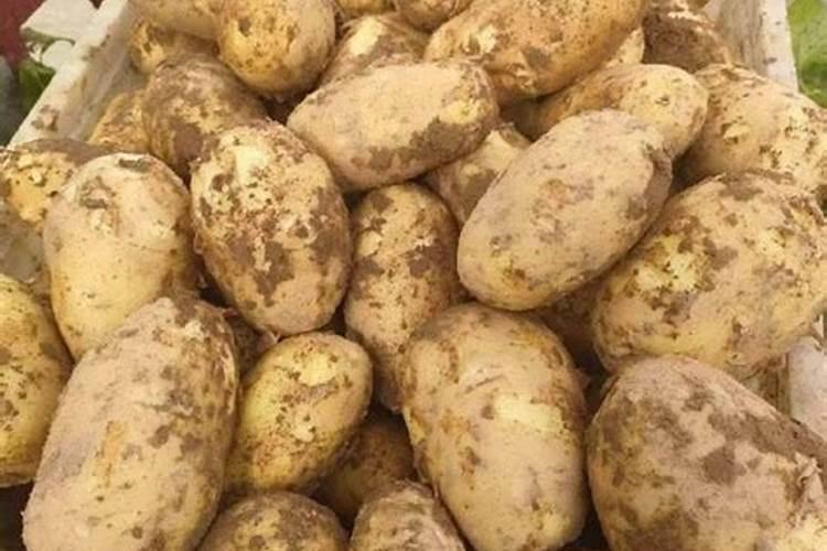 鞍山哪里有好吃的