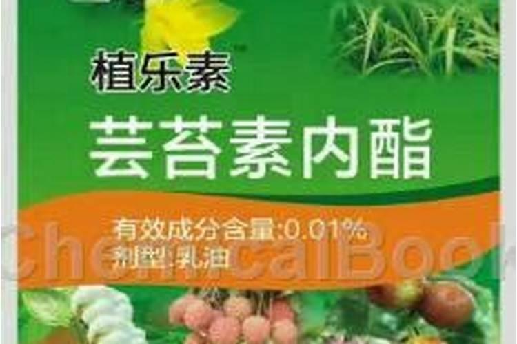芸苔素内酯主要有什么作用？ 草甘膦四种选择性除草方法介绍
