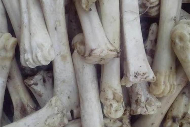 花卉肥料有哪些