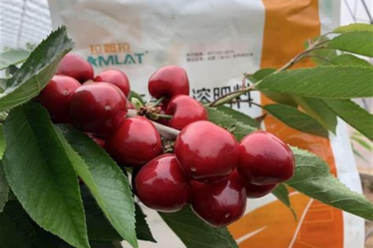 水肥含养份含量是多少