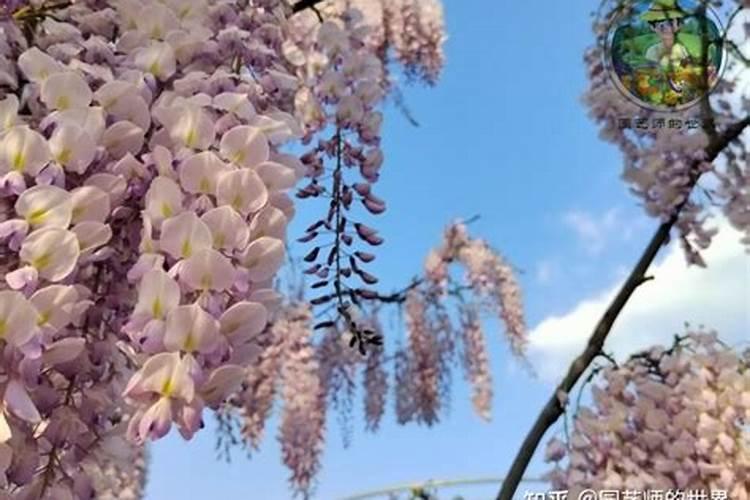 ...数学七年级上册答案延边大学出版社某化肥厂生产的颗粒临汾与外包装袋...