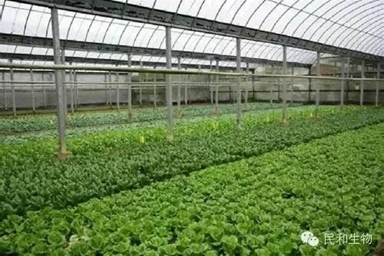 钙铁锌硒镁的作用主要都是怎样的呢