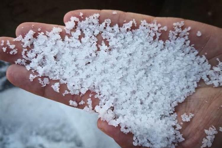 叶面肥什么时候打效果好 叶面肥喷施注意事项