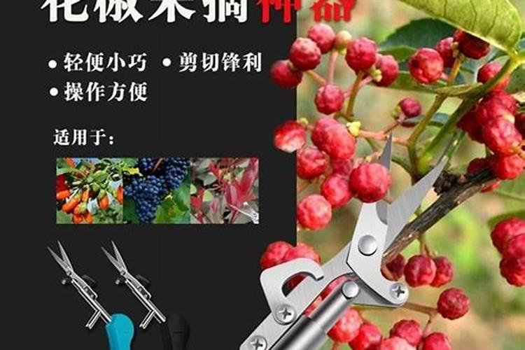 七水硫酸镁肥的使用方法