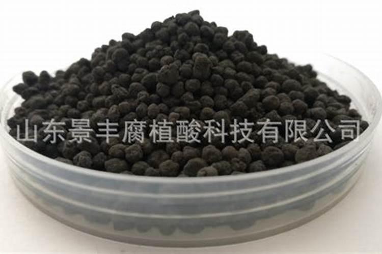 哈站附近哪有去齐齐哈尔的车,下午五点半以后还有车么 经过大庆林甸么...