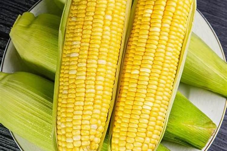 怎样种植糯玉米？