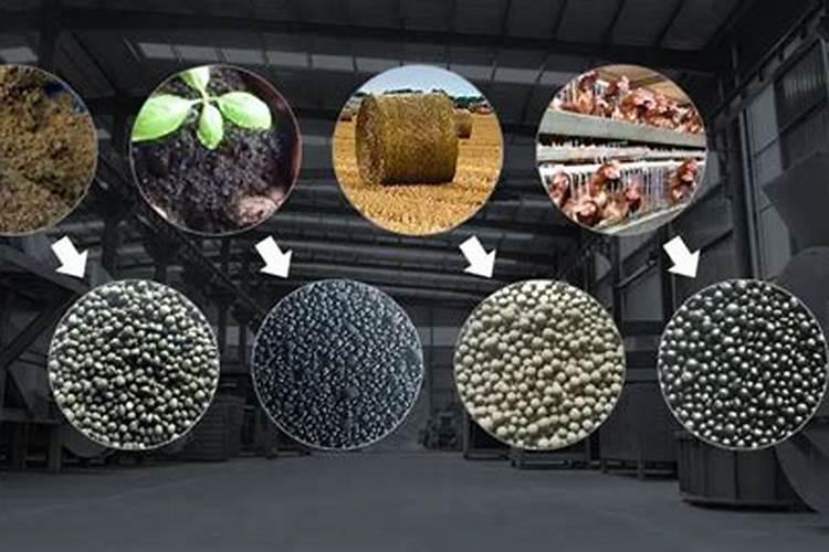 有机肥都有哪几种