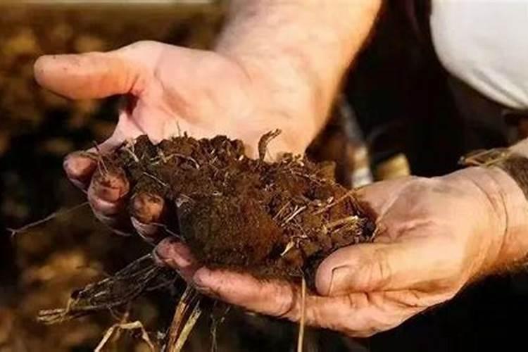 种花需要肥料,请问什么是磷肥、什么是氮肥、什么是钾肥？