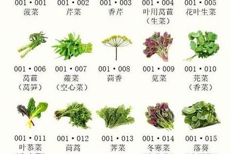 冲施肥稀释300倍怎么算