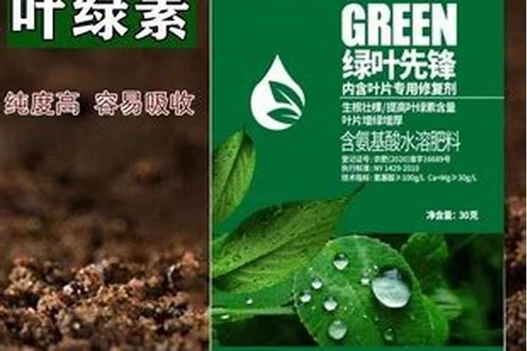 水溶复合肥在西瓜什么阶段使用？