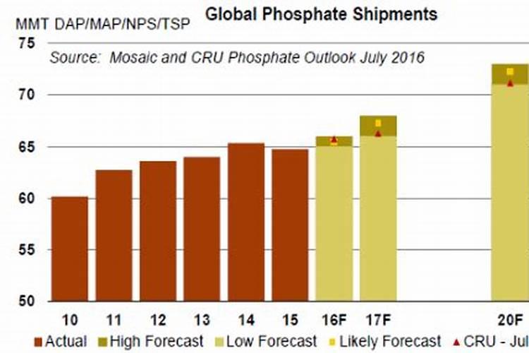 促进叶片生长的肥料促进植物的叶的生长需要施什么肥