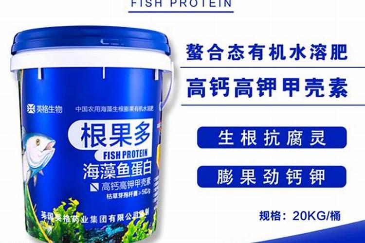 用自制的鱼蛋白浇果树要稀释多少