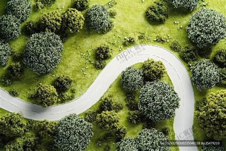 蔬菜叶面肥木醋液好用吗