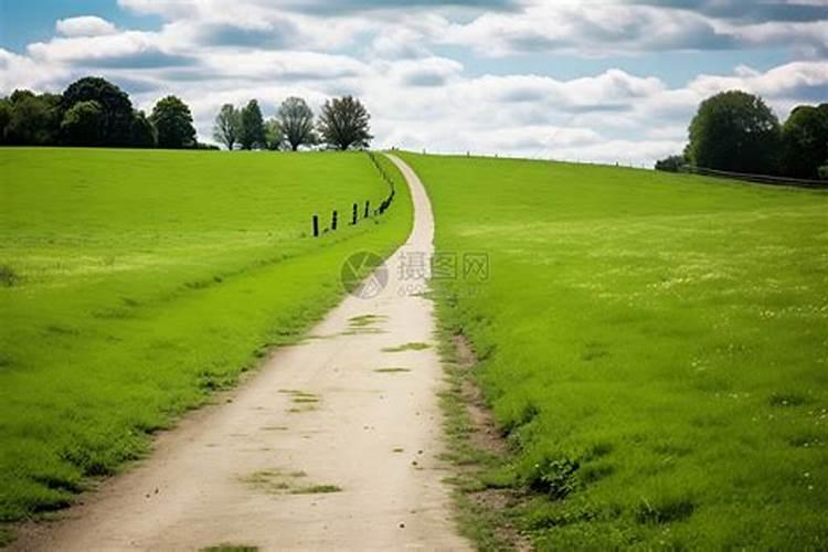 种植小麦用木醋液