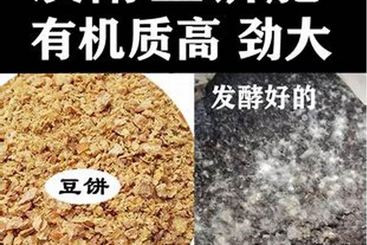 关于水稻施用 豆饼肥料的用量