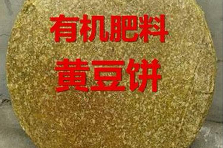 豆饼液做叶面肥可以吗？发酵好的豆饼水可以当叶面肥