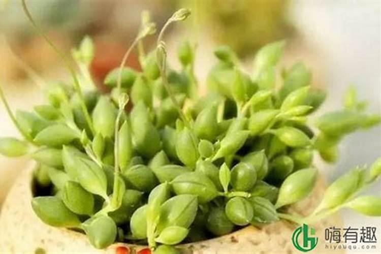 如何提高氮磷肥的肥效