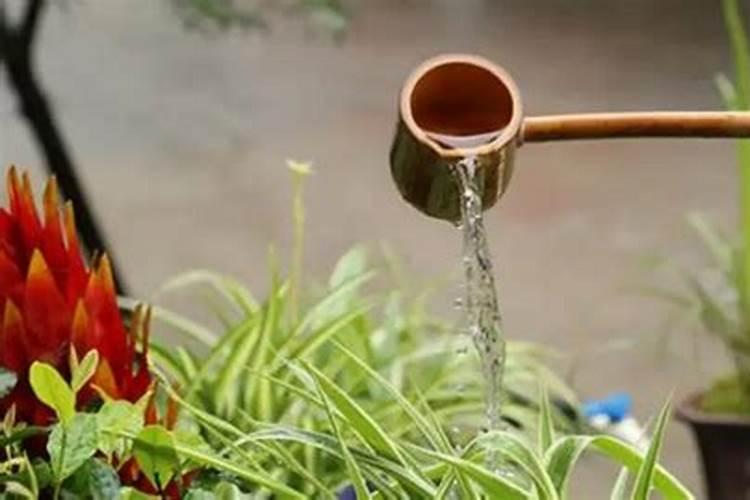 小麦除草剂产生药害会自愈吗 小麦除草剂什么时候打合适