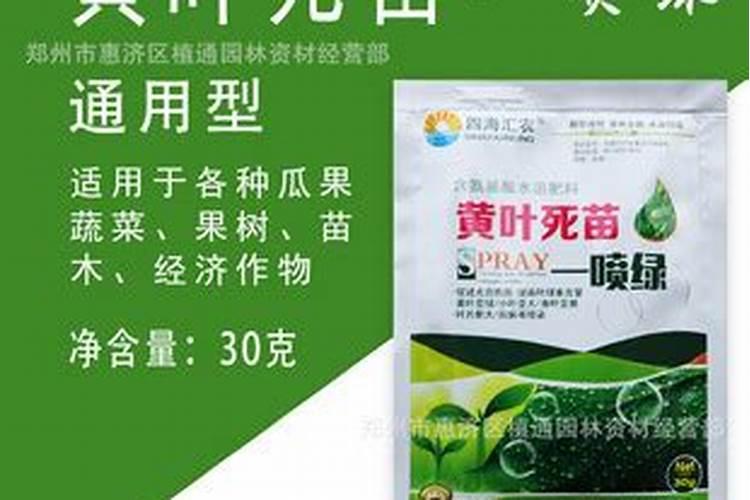 绿叶植物用什么肥料