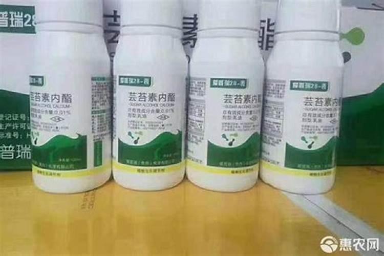 种大蒜用什么药拌种好