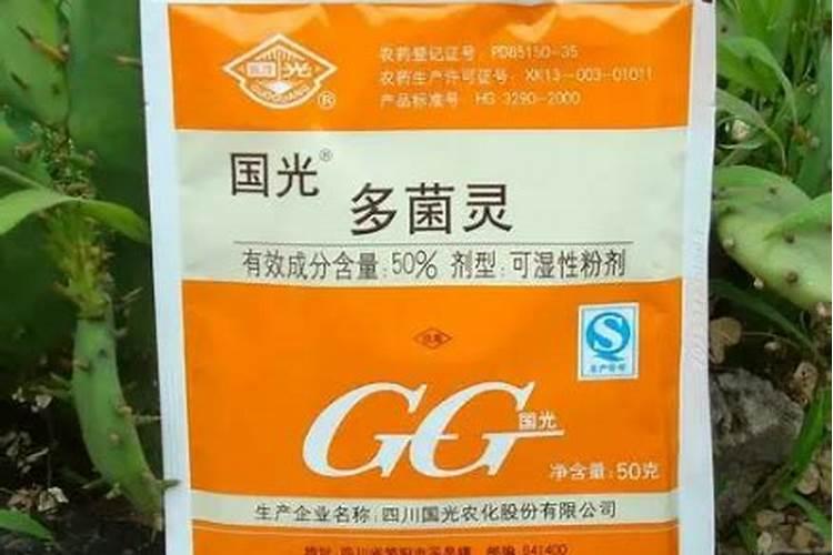 什么花适合用大米当肥料  大米能不能用来当养花的肥料