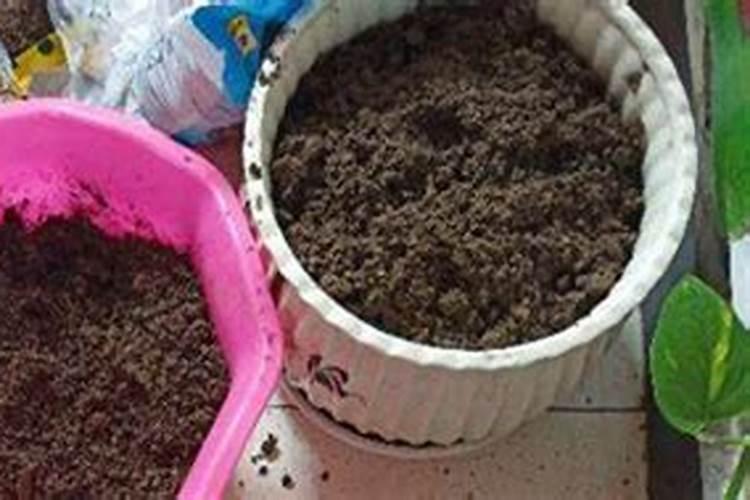 生土地如何变成熟土地种菜