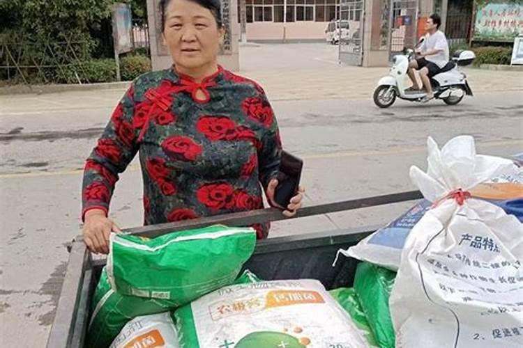 种植韭菜施什么肥料可以长得黑亮又粗壮？