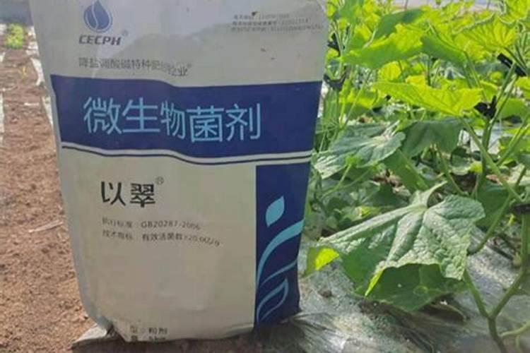 樱桃打什么叶面肥长的快？樱桃什么肥可以果实膨大？