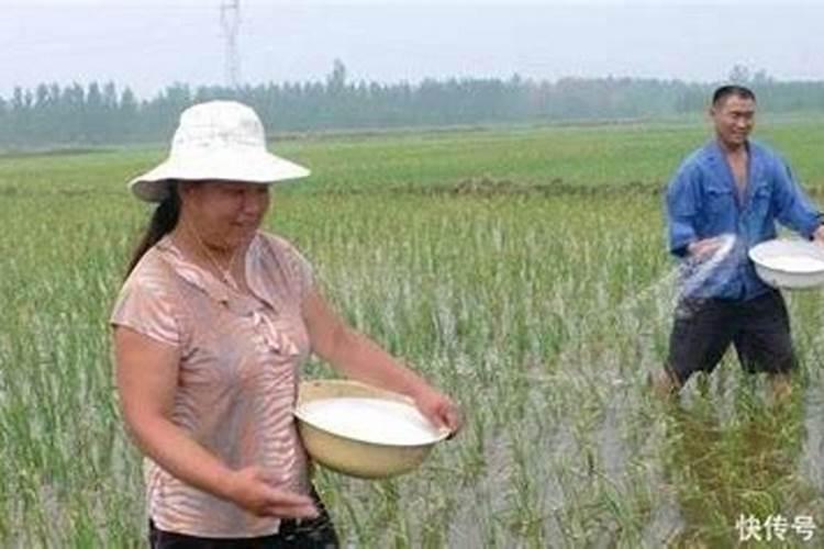 水溶性复合肥有哪些