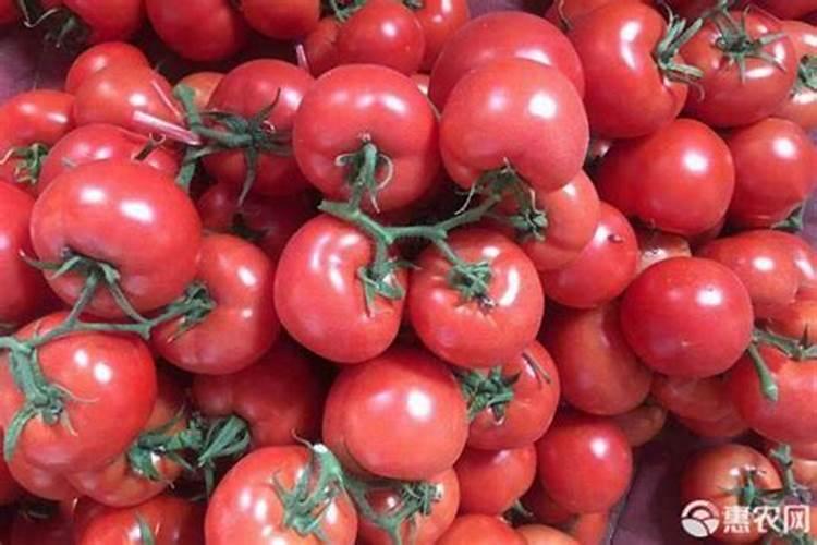 复合肥兑水几天浇一次、复合肥施肥后立即浇水吗